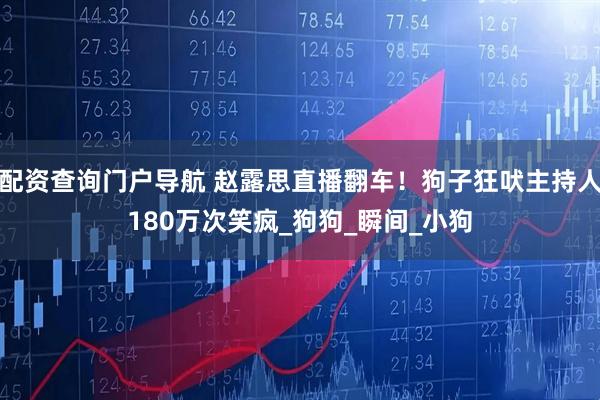 配资查询门户导航 赵露思直播翻车！狗子狂吠主持人180万次笑疯_狗狗_瞬间_小狗