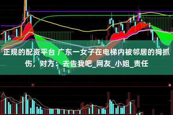 正规的配资平台 广东一女子在电梯内被邻居的狗抓伤，对方：去告我吧_网友_小姐_责任