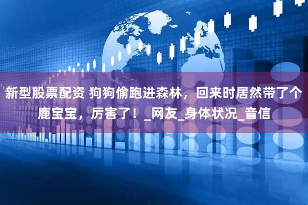 新型股票配资 狗狗偷跑进森林，回来时居然带了个鹿宝宝，厉害了！_网友_身体状况_音信