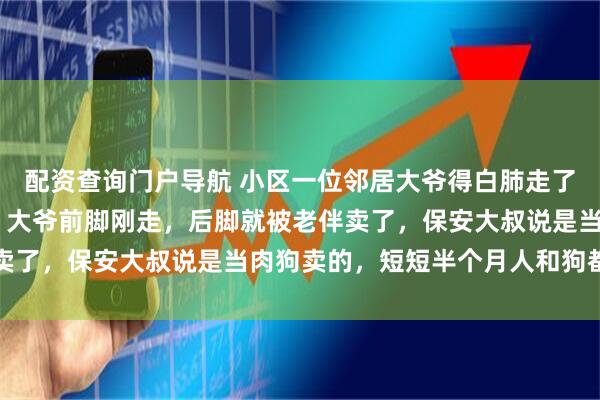 配资查询门户导航 小区一位邻居大爷得白肺走了，养了13年的哈士奇，大爷前脚刚走，后脚就被老伴卖了，保安大叔说是当肉狗卖的，短短半个月人和狗都没了