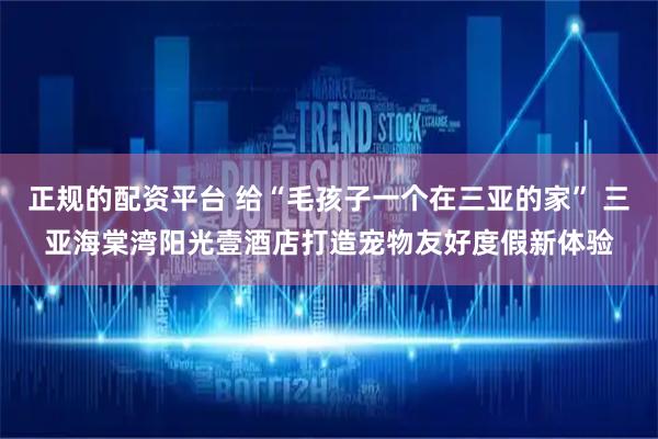 正规的配资平台 给“毛孩子一个在三亚的家” 三亚海棠湾阳光壹酒店打造宠物友好度假新体验
